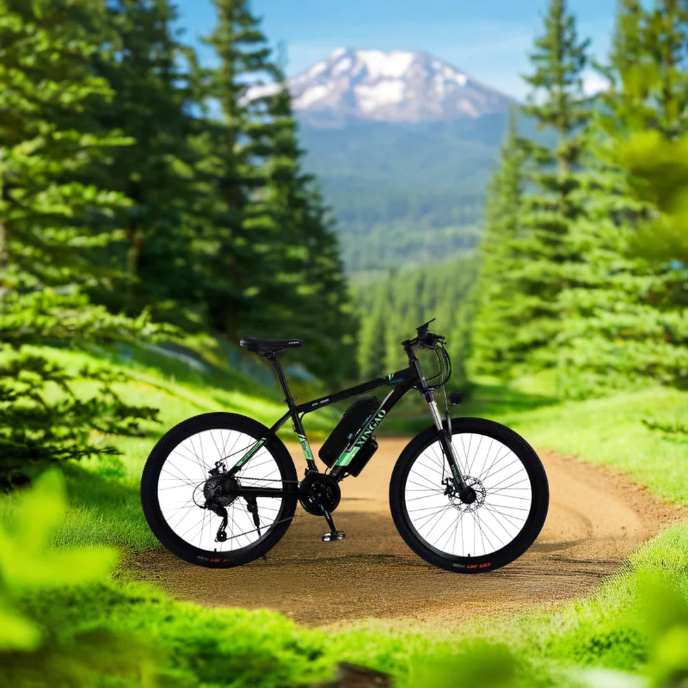 2024 Custom Carbon Fiber Bike 26-inch 350W 36V Mountain bike electric road bike