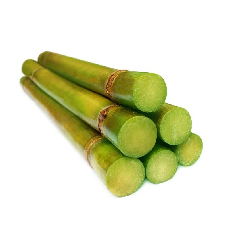 Excellent quality recycled plastic sugarcane/PCR tube cosmetic