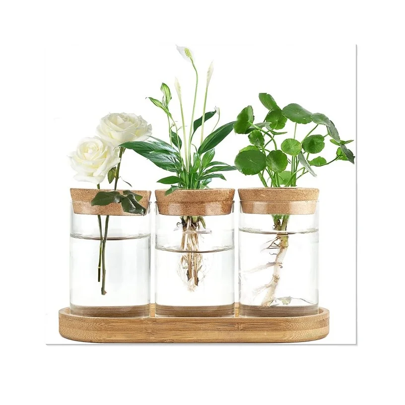 Plant Propagation Terrarium Desktop Glass Planter Station Water Planting Glass Vase with Lid and Wooden Stand for Propagating