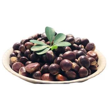 buy Top Grade Chest nuts chestnut chestnut organic sweet fresh tianjin chestnuts