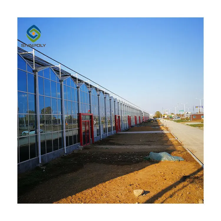 Заводская поставка, хорошее качество, Экологически чистая Водонепроницаемая садовая теплица для сада