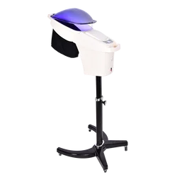 Ready To Ship Oem Hair Beauty Salon Professional Micro Mister Nano Ozone O3 Stand Hair Spa Steamer Machine