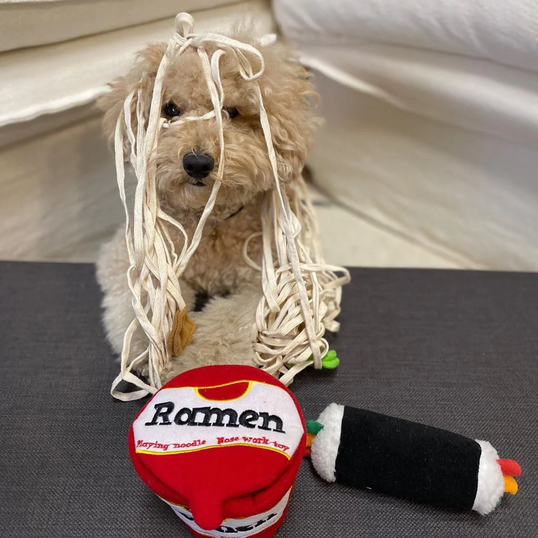 Ins Explosive Korean Ramen Design Sniffing Interactive Foreign Trade Pet Leaking Food Product Dog Sniffing Toys