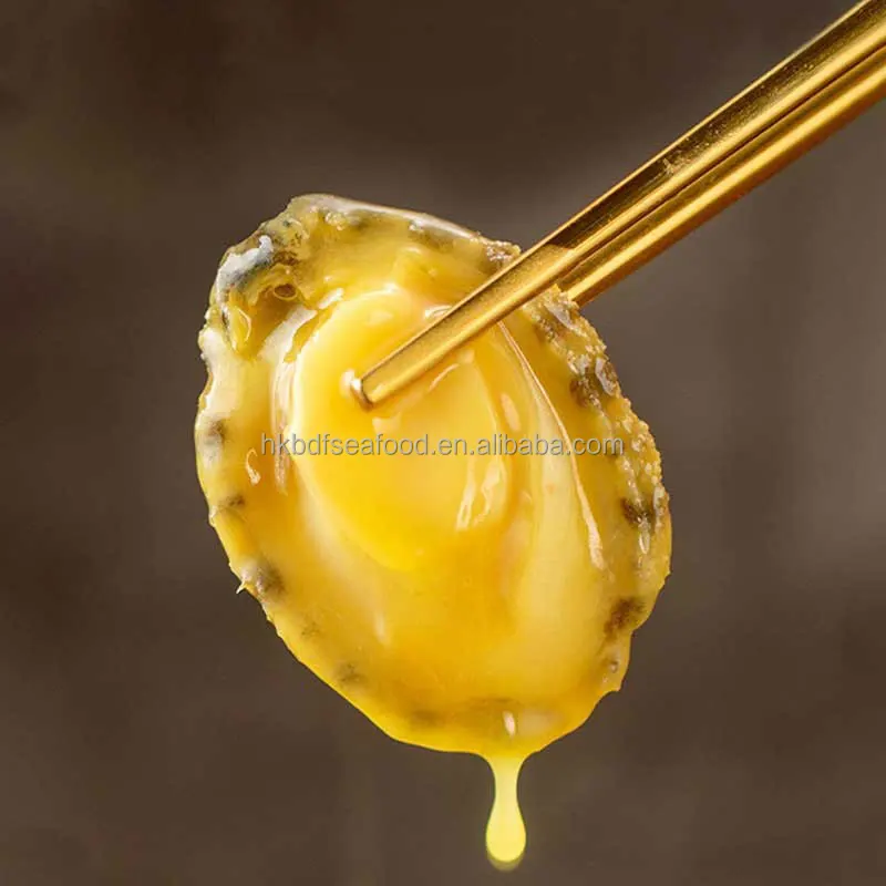Морское ушко с раковиной Fujian