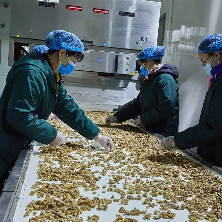 Haccp Certificate Chinese Xinjiang Raw Walnut Kernel Dry Butterflies Kernel Walnut Halves XingFu ceviz ili china suppliers