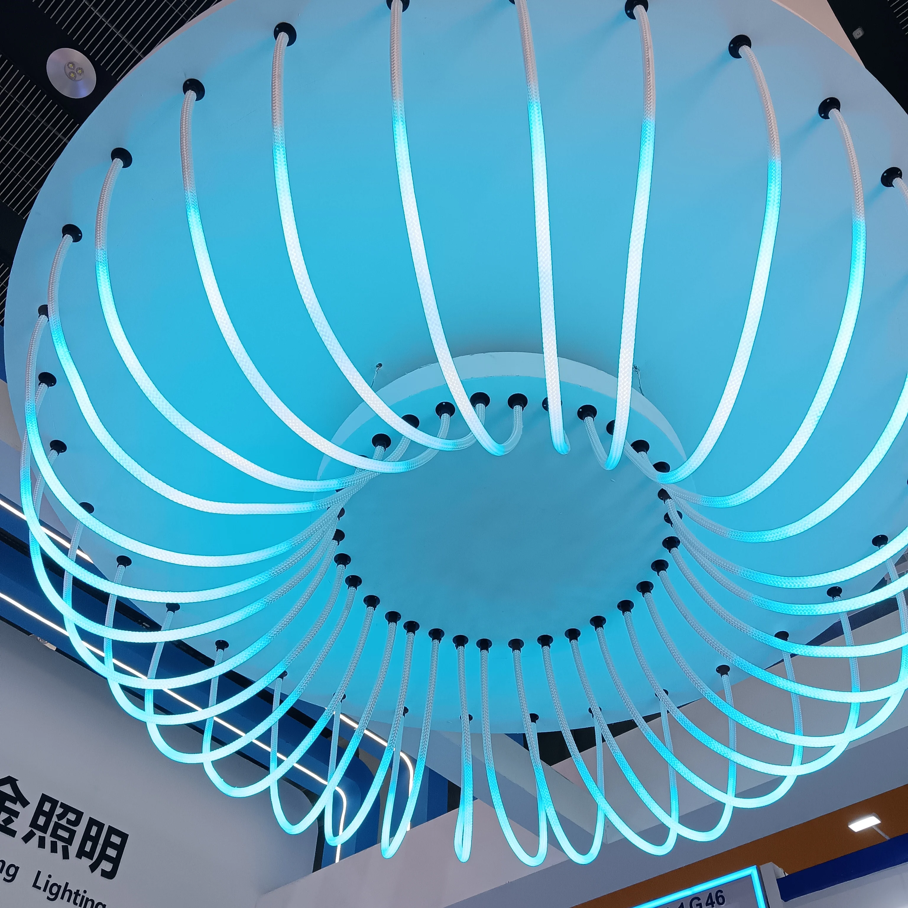 Smart WIFI Control Neon Tube Best Selling 360degree RGBIC LED Strip Light Dream Color 24v 12v