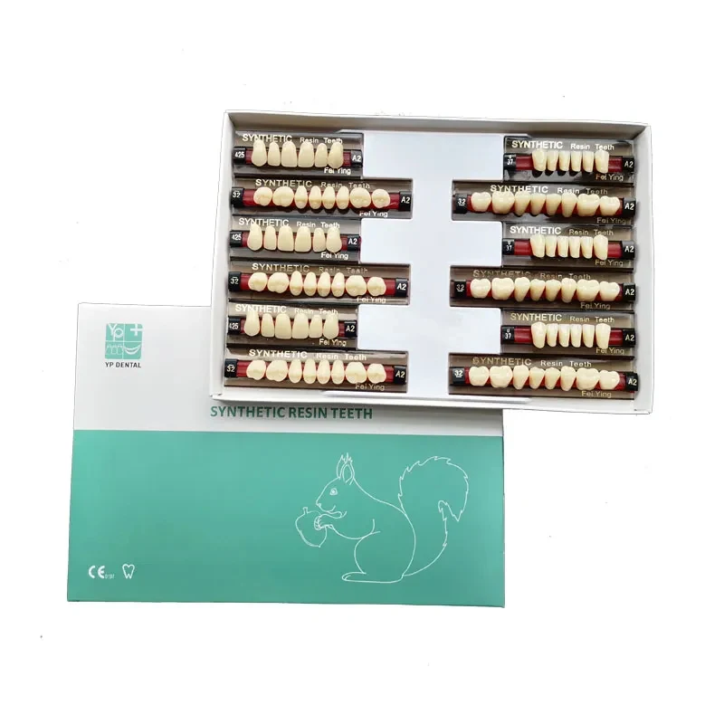 YP 2 layers OEM Multi layer Dental Acrylic Resin Teeth For Dentures Synthetic Resin Acrylic Teeth Dental Prosthesis