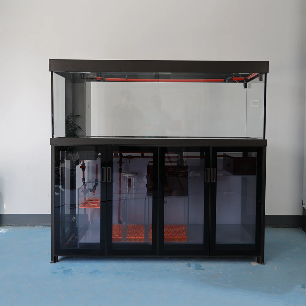 high quality fully automatic smart borderless aquarium fish tank arowana display fish tank
