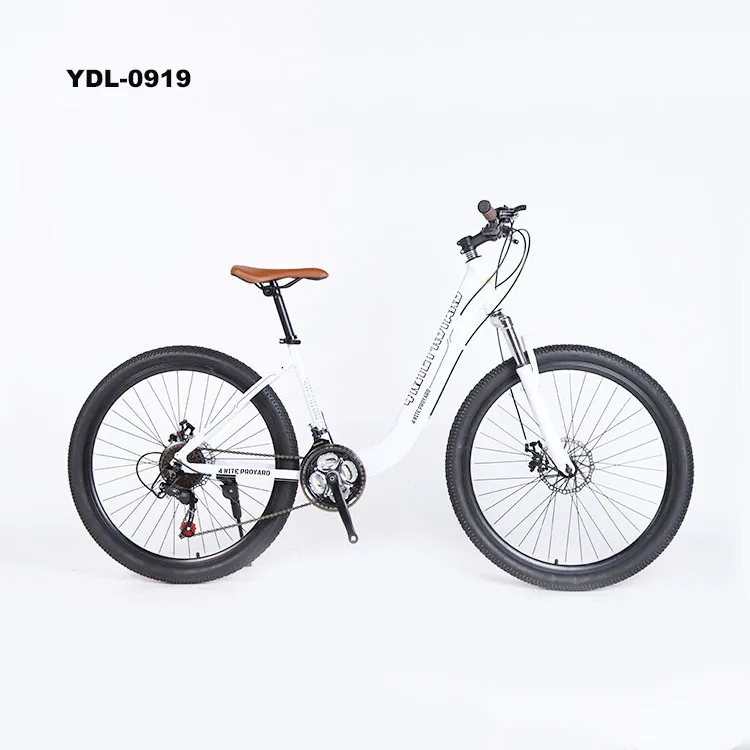 2023 Aluminum Alloy Mountain Bike bicycle Popular 21 speed  disc brake women vintage city bike