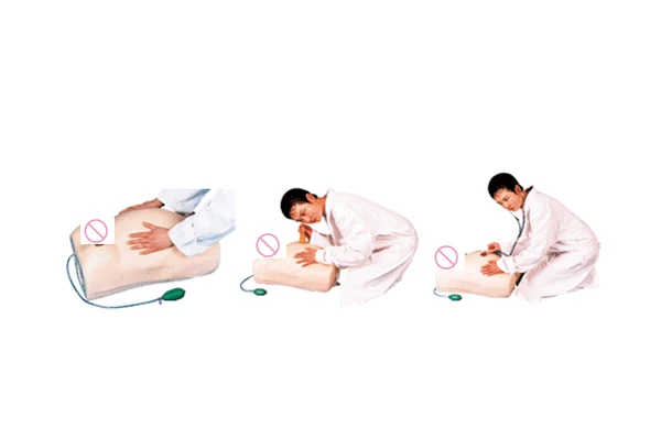 Maternity Examination Simulator Pregnancy Manikin Auscultation Teaching