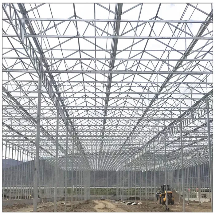 China Factory Commercial Agricultural Vegetable Fruit Flowers Galvanized Steel Frame Polycarbonate Greenhouses