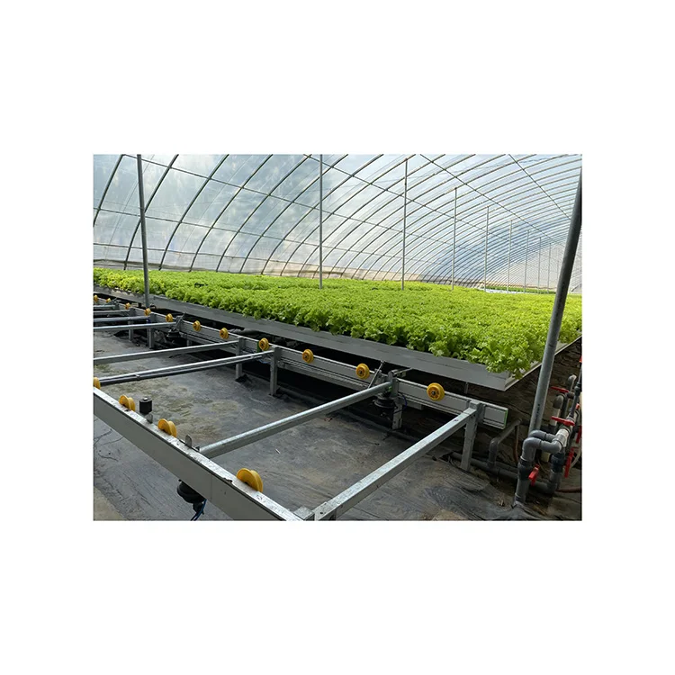 
Hydroponic System Transport- Ebb & Flow Vegetable Growing 