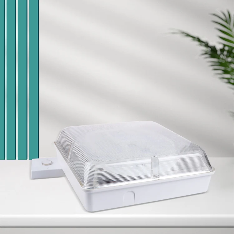 Modern Square Ceiling Lighting Room Aisle Surface Mounted Luminaires Ceiling Lights