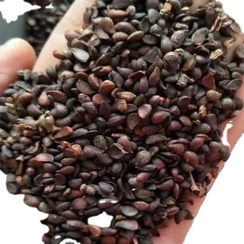 Сушеная пища из семян яблока взрослых в сухом и Горьком вкусе упакованная пакет