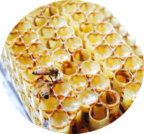  Высокое качество стандарт ЕС fesh royal jelly 1.4%