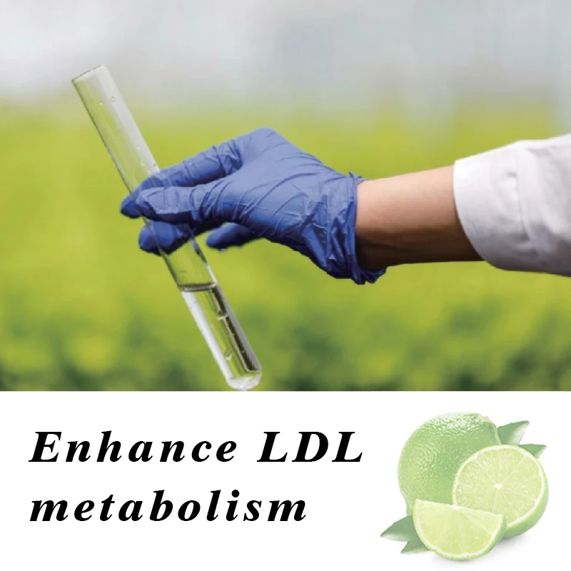 Hot Selling Cheap Enhance LDL Metabolism Low Fat Kumquat Lemon Drink