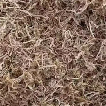 Мономер с высоким содержанием питательных веществ и высоким содержанием белка сублимированный tubifex не кубик для рыбы