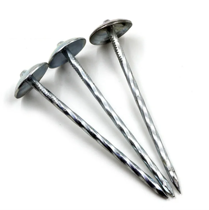Factory Outlet Umbrella Head Galvanized Roof Nail Smooth or Twisted Handle