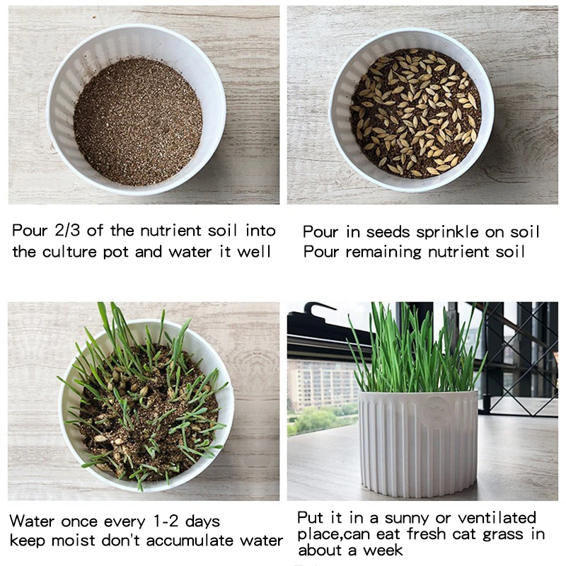 Cat Grass Seeds Grass Bag Cup Hot Sale High Quality Treats Bag Enriching Wheat Seed Pet Clean Teeth