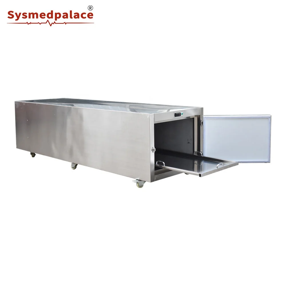High Quality Body Cadaver Freezer In Stock Morgue Mobile Freezer Steel Morgue Freezer