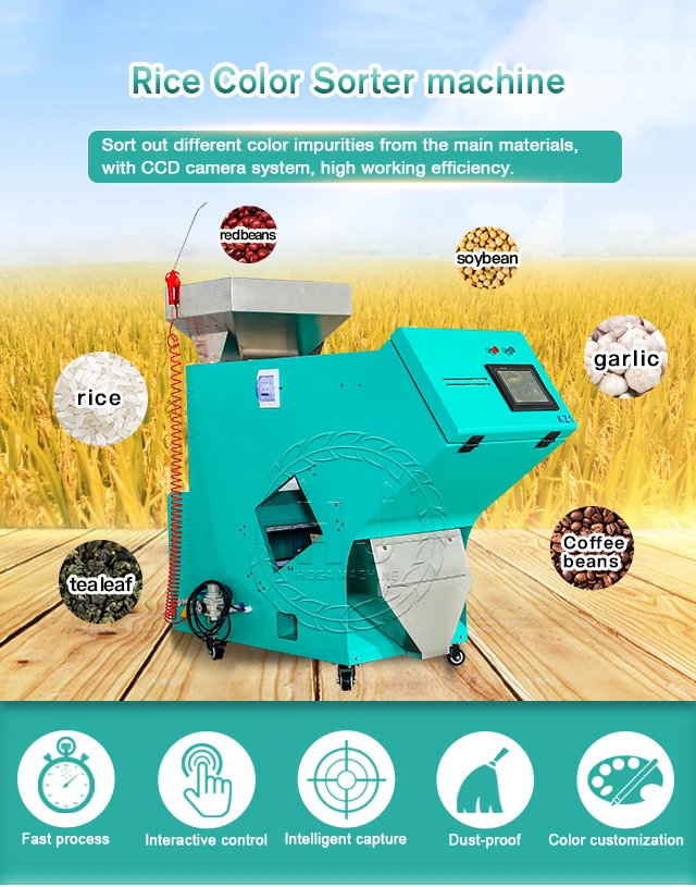 Optical CCD Type Color Sorter for Chickpea Agricultural Sorting Machines for Plastics Color Sorting Equipment with CE