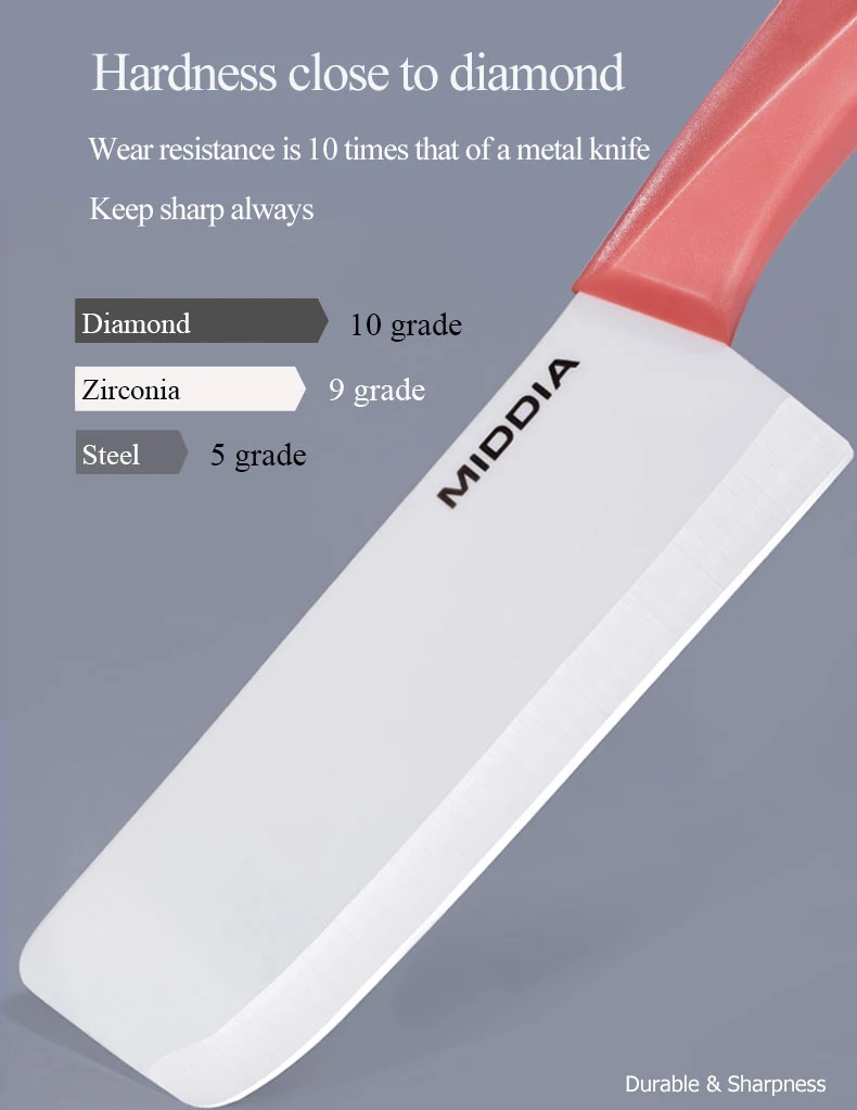 _11.jpg