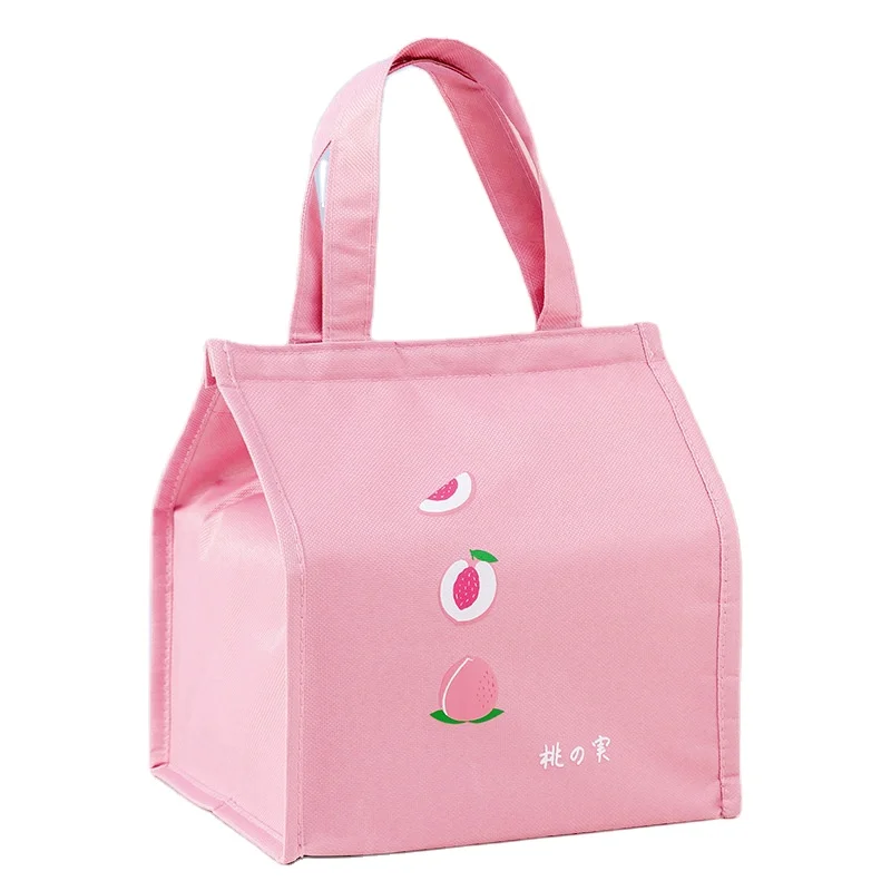 Custom Logo Non Woven Lunch Cooler Bag Backpack Beach Soft Cooler Bag Insulated Cooler Bag