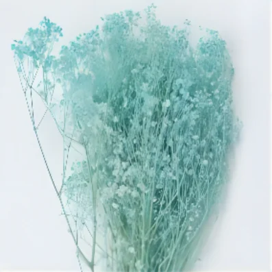 Decorative Flower Dried Babys Breath Gypsophila Preserved Broom Bloom