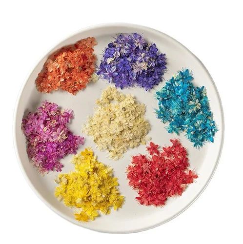 12pcs/bag Symplocos Paniculata DIY Nail Art Candle Soap Making Natural Plant Eco-friendly Real Pressed Flower