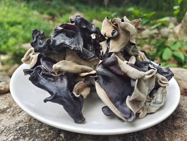 KWS Wholesale Healthy Food Dried Black Fungus Natural Dehydrated Black Fungus