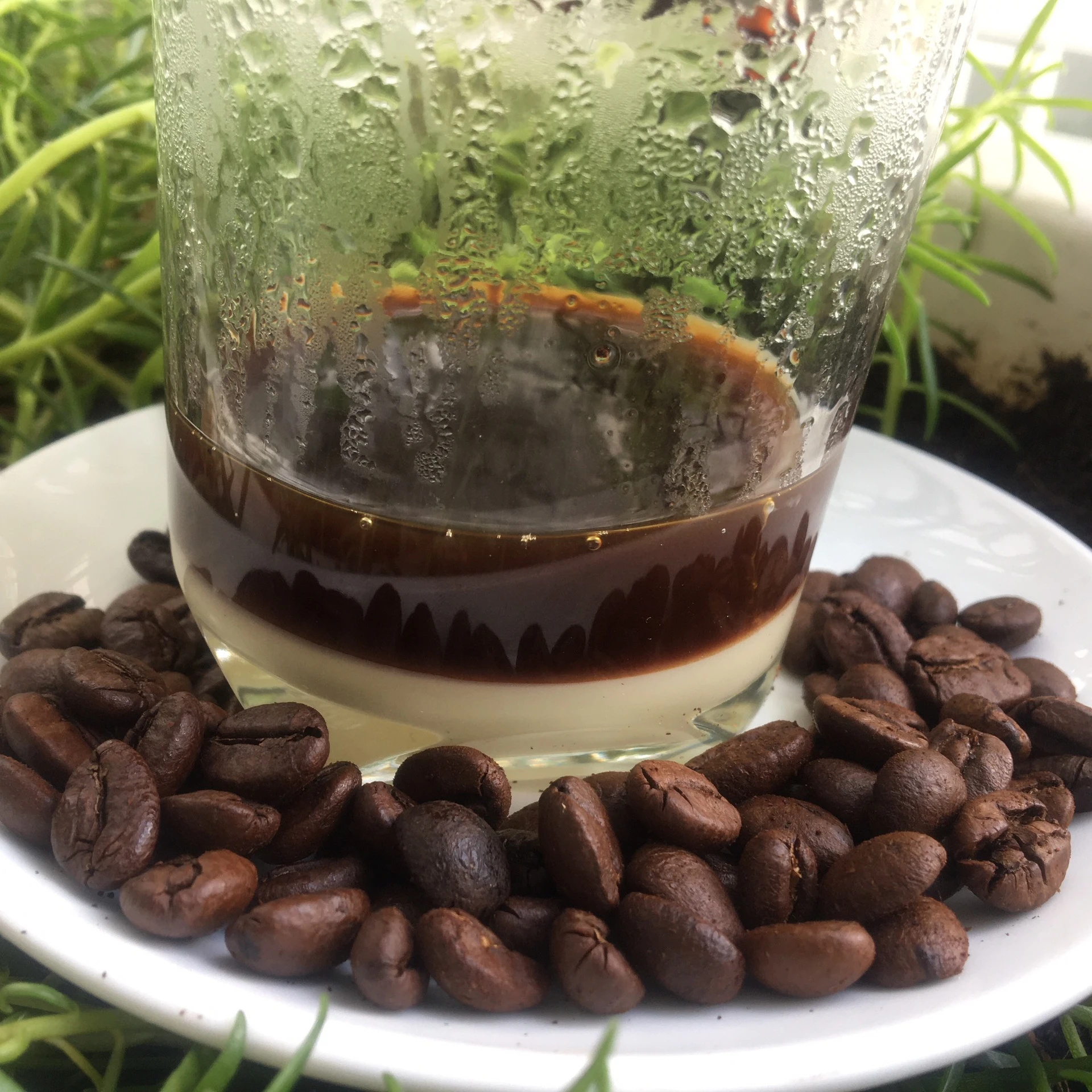 
Вьетнамские специальные жареные кофейные зерна 