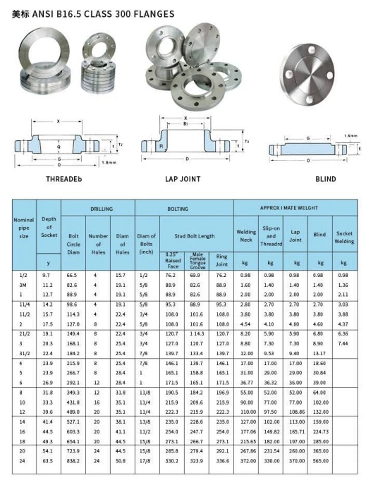 TF Welded on Pipes Machine Cast Iron Blind BS4504 PN10 PN16 F316L ASTM A182 316l Stainless Steel Flange for Section Connection