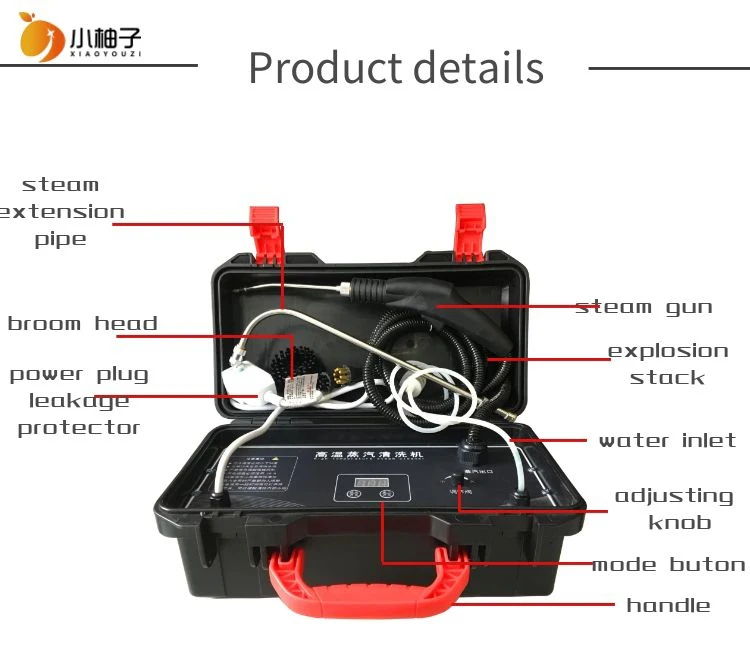 
High Power 3000W portable electric medical steam spray gun sterilizer disinfect steam 