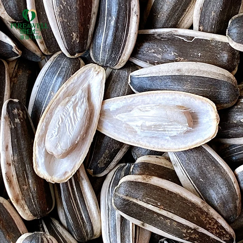 Big size Chinese wholesale home use sunflower seeds sheller bulk sunflower seeds 363