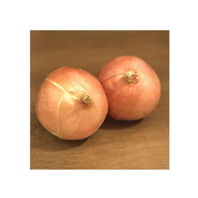 New Listing High Quality in Bulk Fresh Red Onions For Sale with International Certification