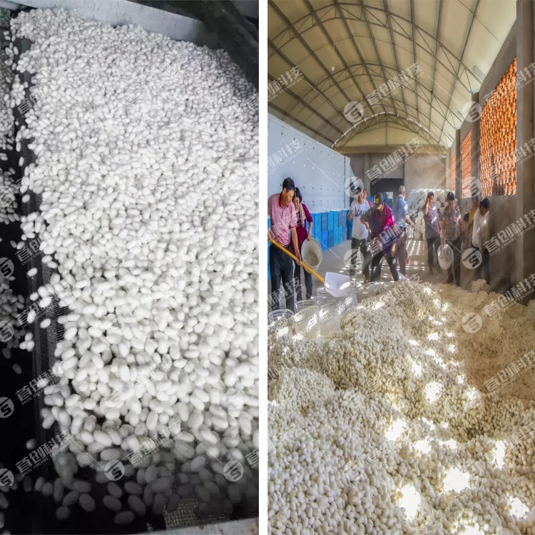 Hot Sale Silkworm Cocoon Dryer Machine Mesh Belt Drying Equipment Hot Product Energy Saving Customized