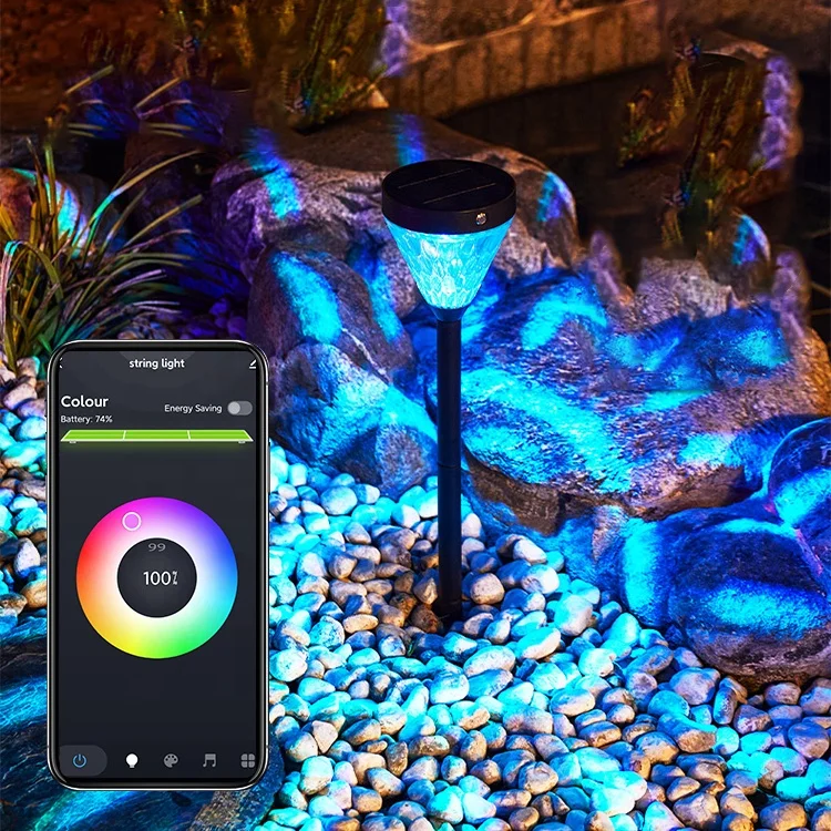 2022 Hot Sale Waterproof Tuya App Control Smart outdoor home lights