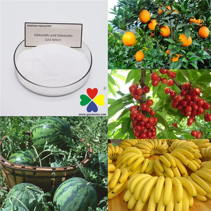 Sales ga3 gibberellin gibberellic acid plant growth gibberellic acid ga3 90%TC