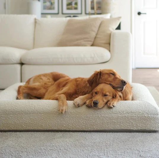 Wholesale High Quality Luxury Custom New design Waterproof Removable Orthopedic mattress couch Memory Foam boucle Large Dog Bed