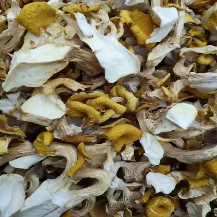 Dried wild chanterelle mushrooms Cantharellus Cibarius