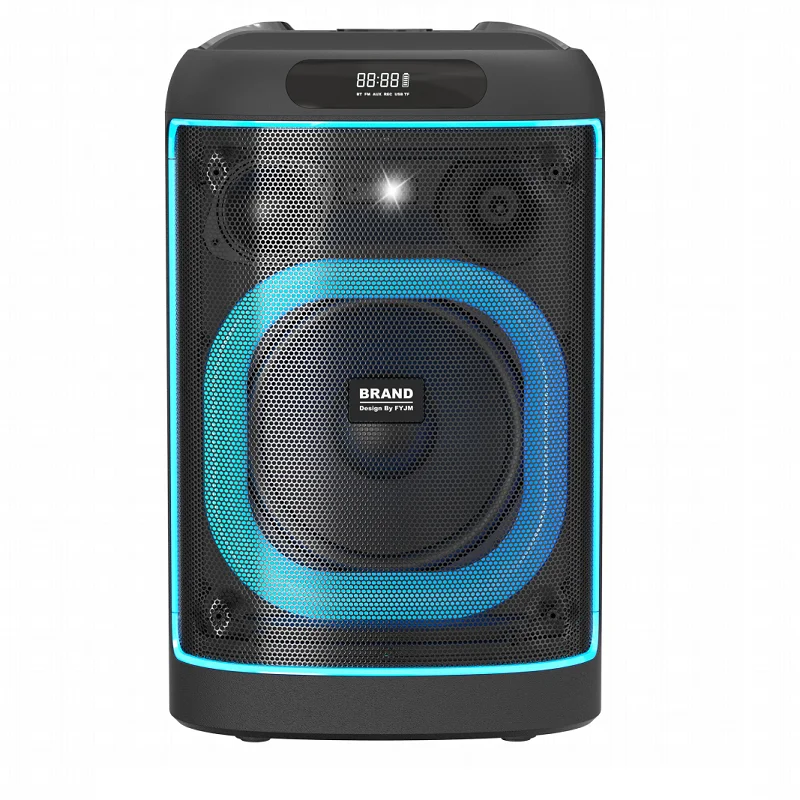 Pro sound smart portable 8 inch subwoofer 1000W amplifier bass audio shimmer bluetooth pa speaker with two wireless mic