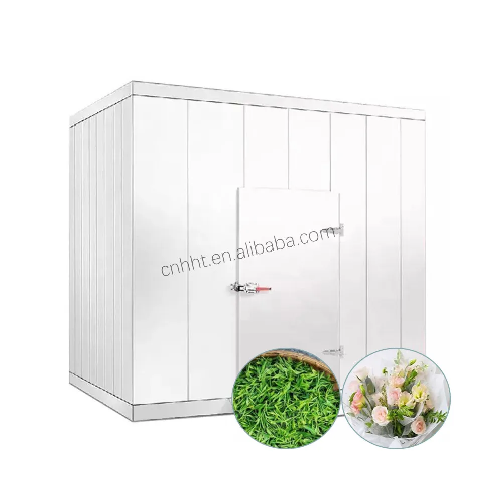 HHTP0001 Good Price Solar Cold Room Container freezer 1 Tonne Blast Freezer Iqf Refrigeration Storage