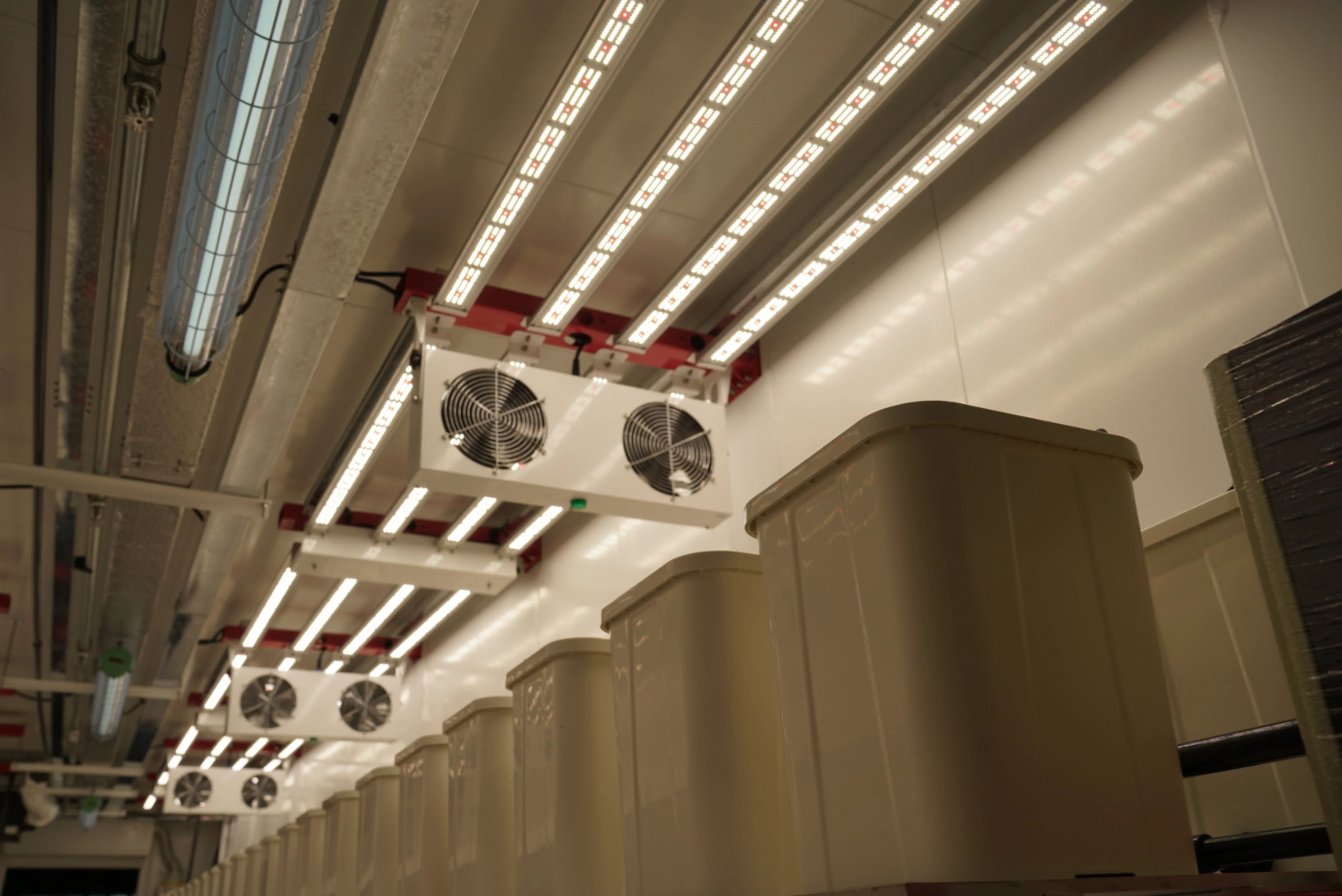 Grow Container Farm 40ft Shipping Container for Veg Blooming Stage