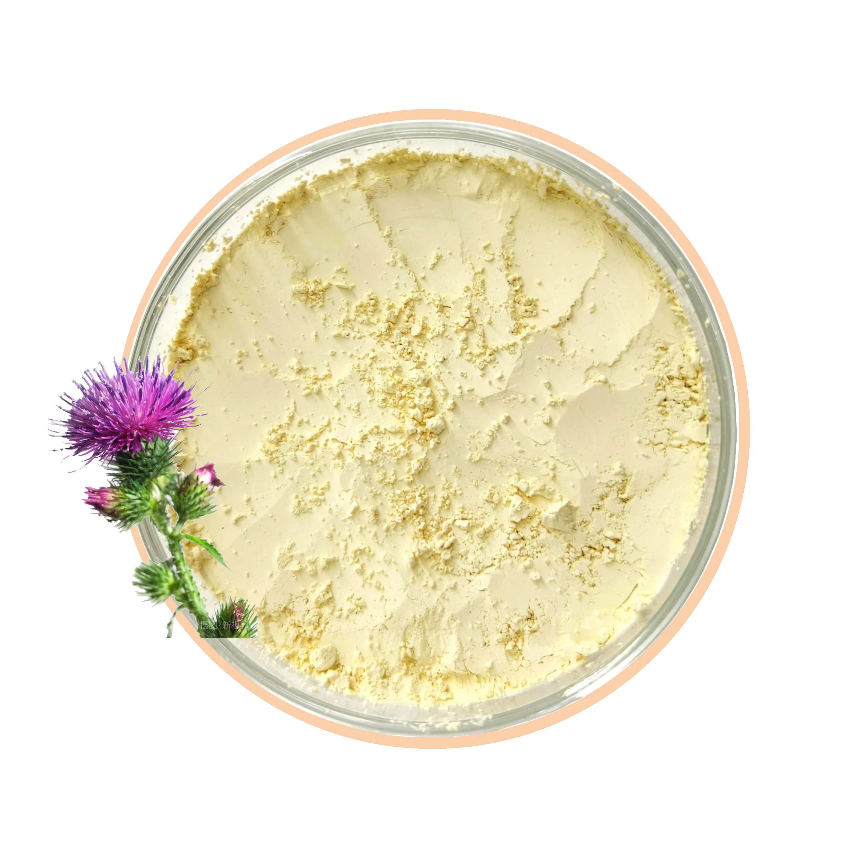 RICI Milk Thistle Seed/Flower Extract  Silybin 98 Powder Milk Thistle Dry Extract Silbin Powder