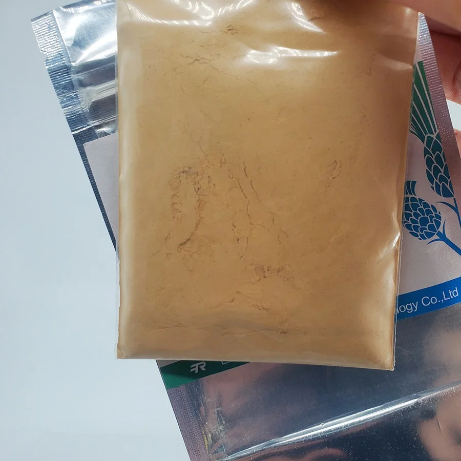 Red Ginseng Powder Panax Ginseng Root Extract 10% Ginsenosides Good Price