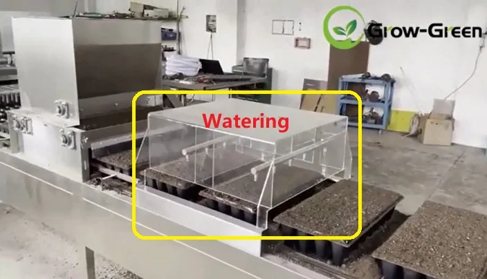 Automatic Seeder Machine Production Line to Plant Leafy Greens and Microgreens Exported US Canada South Africa