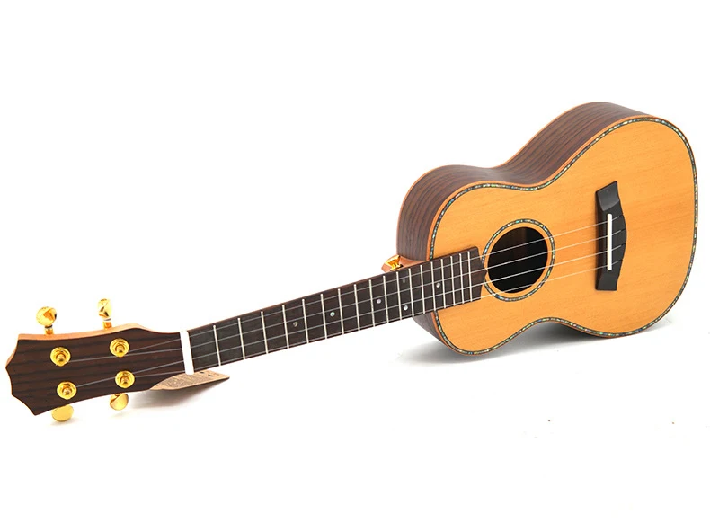 Paisen ukulele concert 23 inch Korean Pine rosewood electric ukelele