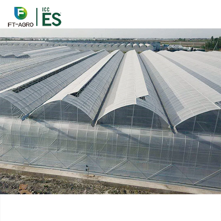 Easily Installed Agricultural/Commercial Greenhouse with Completely Hydroponics Vertical NFT Growing system