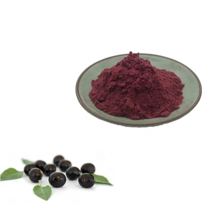 Factory Supply Natural Maqui Berry Extract Powder Halal Certified