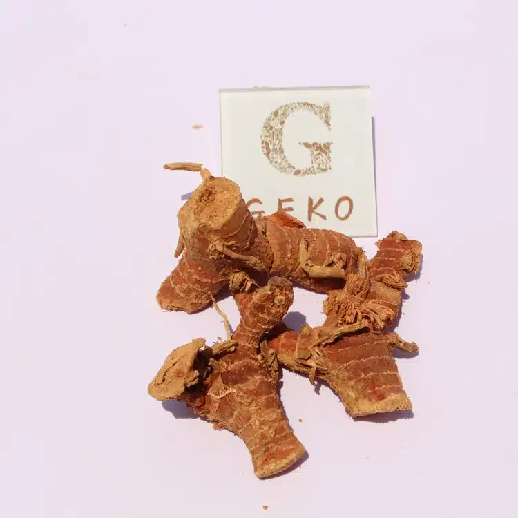 GEKO Food оптовые поставщики оптовая продажа имбиря для других продуктов питания